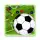 Football Board
