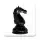 World Chess Championship