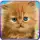 Talking Baby Cat