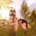 Wolf Tales: Home & Heart