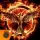 The Hunger Games: Panem Rising