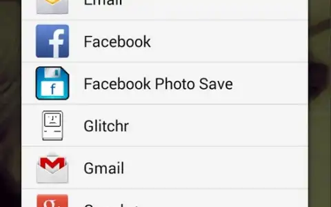 Facebook Photo Downloader Screenshot 2