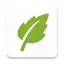 SGreen VPN
