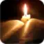The Message Bible Free MSG