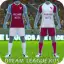 DLS Kits