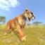 Puma Survival