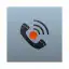 Call Recorder - IntCall