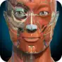 3D Anatomy Learning